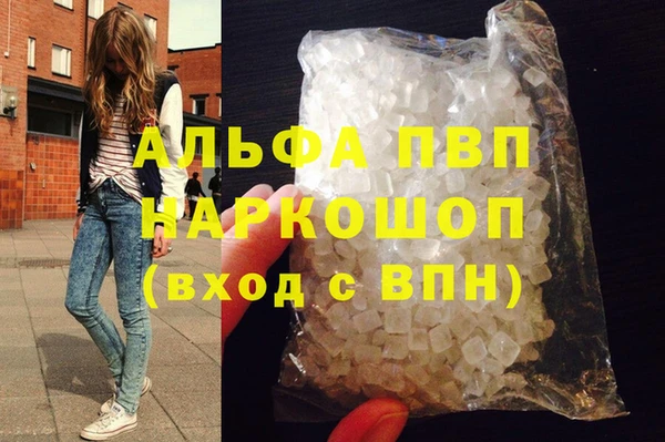 ECSTASY Белокуриха