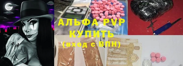 ECSTASY Белокуриха