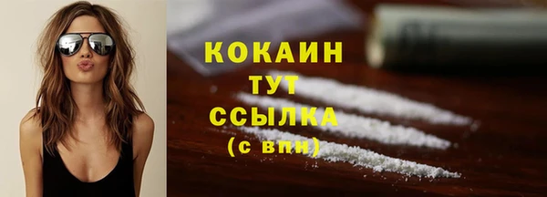 ECSTASY Белокуриха