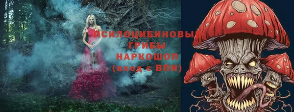 ECSTASY Белокуриха