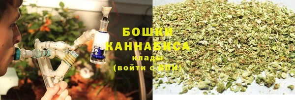 PSILOCYBIN Белоозёрский