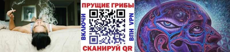 omg ссылка Вязники Псилоцибиновые грибы мицелий