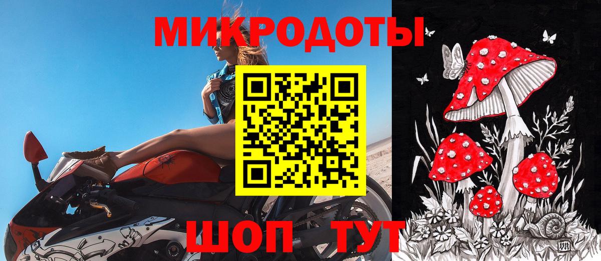 как найти   Галлюциногенные грибы MAGIC MUSHROOMS  Вход с VPN  Вязники 