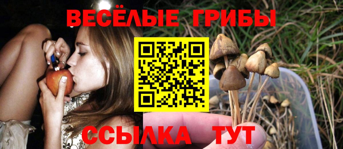 Галлюциногенные грибы Cubensis Вязники