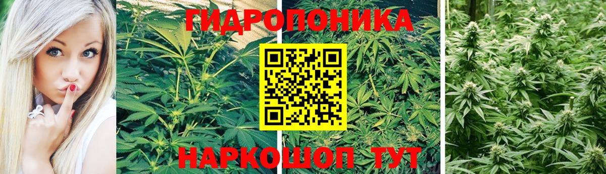 Марихуана Вязники